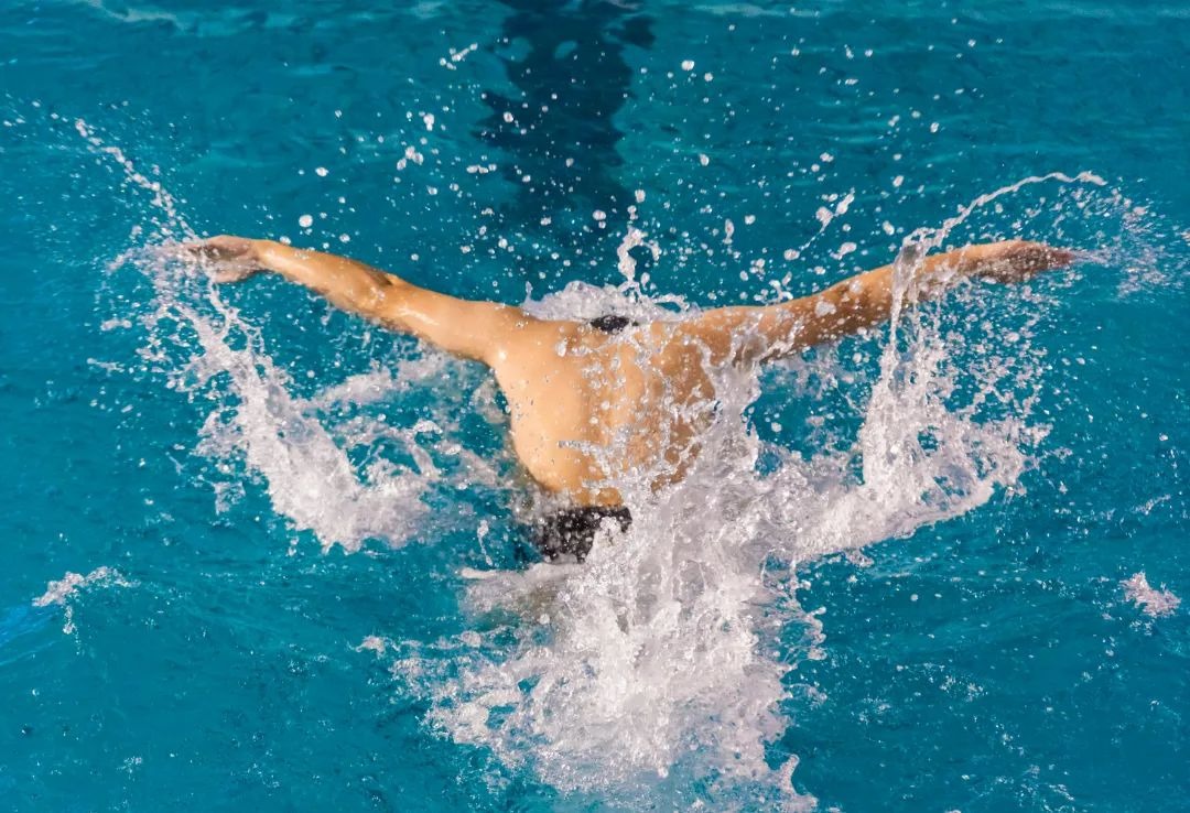 退役后务农，哈姆西克：和妻子养了29只鸡，鸡蛋多得吃不完