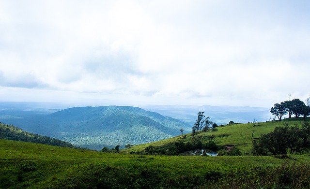 鹈鹕第二节7次失误，单节净负14分半场落后老鹰10分